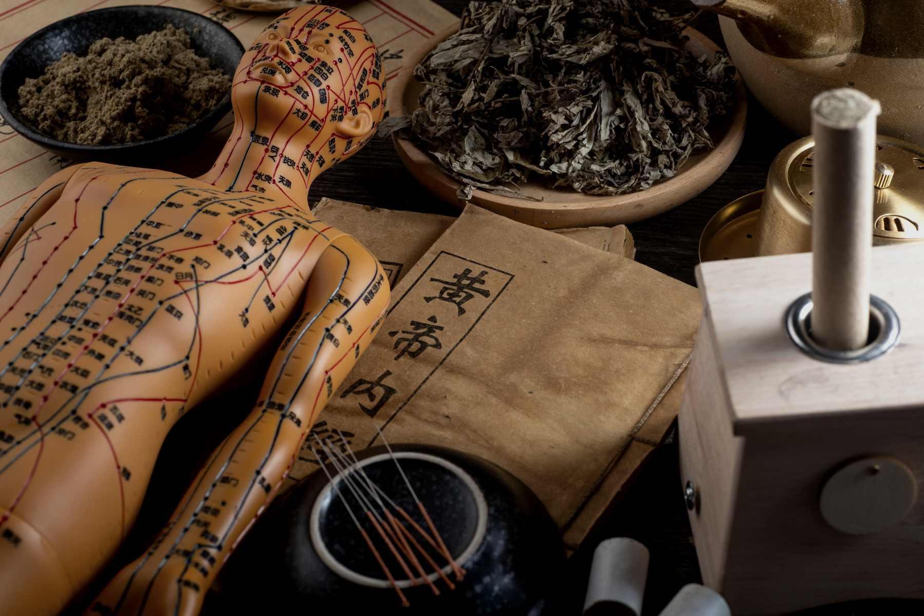Acupuncture meridian model with needles, dried herbs, and a moxa burner