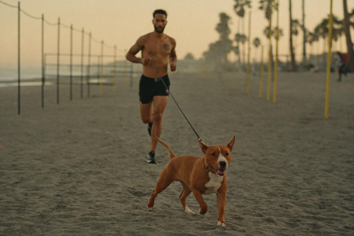 A pit bull running on the sand at Muscle Beach beside its owner at dawn